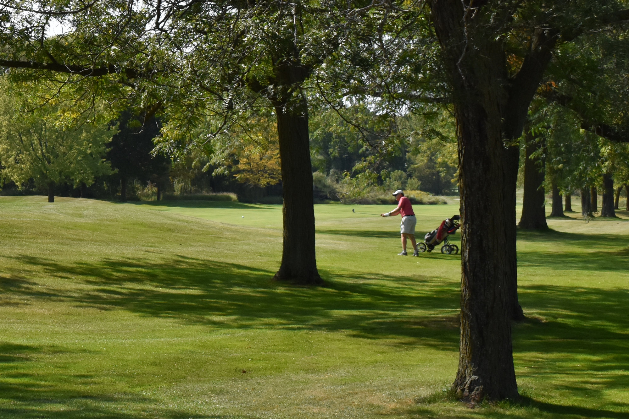 Neighborhoods near Madison area golf courses